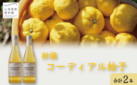 ゆず コーディアル 2本 セット ゆず