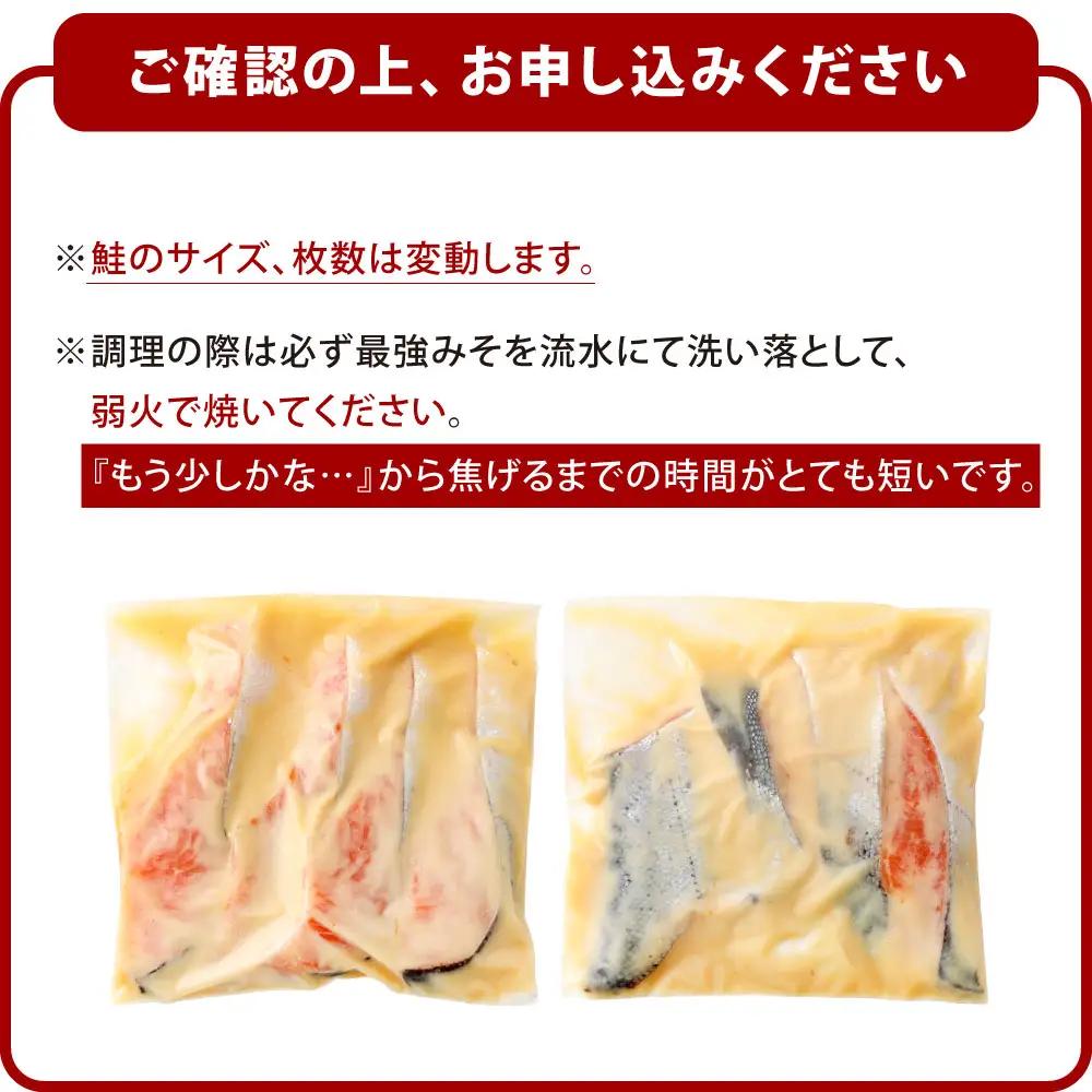 銀鮭 最強味噌漬け （ 約1.2kg （ 約11切入 ） ） 鮭 サケ さけ シャケ 魚 魚類 魚料理 切り身 焼き魚 味噌漬け 味噌 漬け 冷蔵