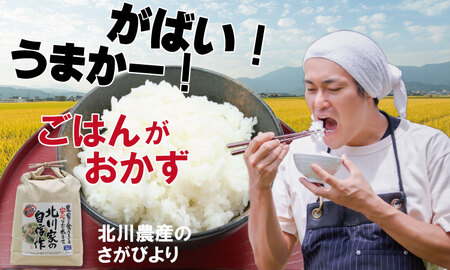 【定期便】(12ヶ月連続お届け) 北川農産直送、お米の定期便（5kg×12回）  Q117-001