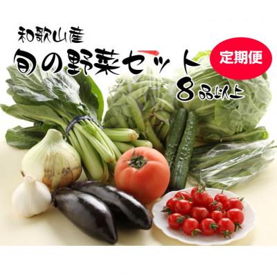 ふるさと納税 印南町 【発送月固定定期便】旬の新鮮野菜セット8種以上【野菜詰め合わせ】全5回