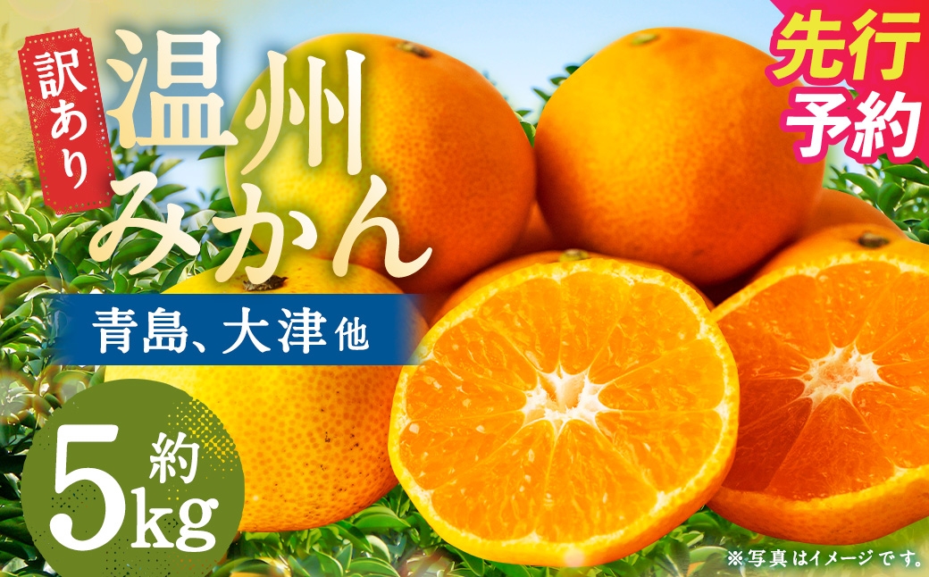 
                  【訳あり】 長崎県時津町産 温州みかん （青島、大津他） 約5kg （2L～3Lサイズ） 【2026年12月下旬～2027年1月下旬迄発送予定】 5キロ 蜜柑 みかん 柑橘 果物 果実 フルーツ 国産 九州 長崎県 時津町 常温
                