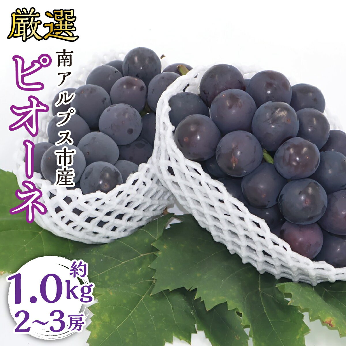 【ふるさと納税】【2026年発送先行予約】南アルプス市産　ピオーネ　約1.0kg（2～3房）山梨県南アルプス市産 ふるさと納税 ピオーネ 葡萄 ぶどう 果物 おすすめ 山梨県 南アルプス市 送料無料 ALPBV012
