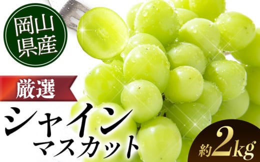 シャインマスカット 【2026年出荷先行予約】 厳選 シャインマスカット 約2kg 3～4房《2026年9月上旬-11月中旬頃に出荷予定》 ぶどう 種なし ぶどう 岡山 ぶどう 先行予約 ぶどう シャインマスカット 大粒 シャインマスカット シャインマスカット 岡山 シャインマスカット ぶどう シャインマスカット 2kg