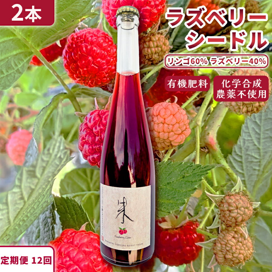 【ふるさと納税】【12回定期便】【北海道産 ラズベリー りんご】ラズベリーシードル 2本 北海道 余市町 送料無料