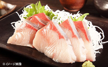 【年末に指定でお届け！】対馬産 寒ブリ 5kg前後 1本 ≪対馬市≫【うえはら株式会社】 産地直送 冷蔵 冷蔵配送 ブリ ぶり 鰤 海鮮 長崎 対馬 国産 鮮魚[WAI096]