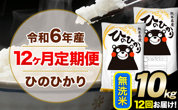 令和6年産 【12ヶ月定期便】 無洗米 ひのひかり 10kg 5kg×2袋《お申込み翌月から出荷開始》熊本県産 単一原料米 南阿蘇村 ひのひかり 送料無料 熊本県 米 コメ こめ 国産---hn6tei_354000_10kg_mo12_mna_m---