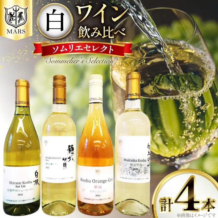 ワイン 白 飲み比べ 4本 セット ソムリエセレクト詰め合わせ