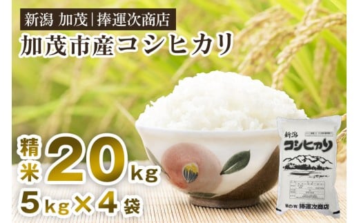 【令和7年産新米先行予約】加茂市産コシヒカリ 精米 20kg（5kg×4袋）《9月下旬～順次出荷》 こしひかり 新潟米 お米 白米 ライス ご飯 加茂市 捧運次商店