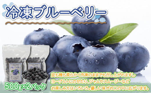 
冷凍ブルーベリー500g×2パック【 ふるさと納税 人気 おすすめ ランキング ブルーベリー 果実 果物 フルーツ ヨーグルト ジャム スムージー 冷凍 北海道 大空町 送料無料 】 OSO006
