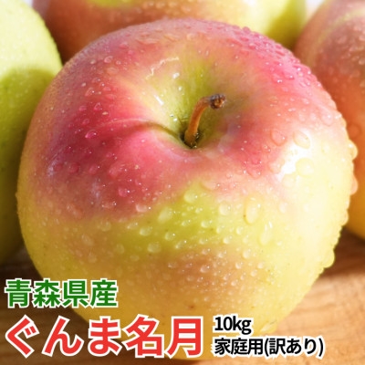 
                  ＜26年11月~12月出荷＞平均糖度13度以上! ぐんま名月 約10kg 訳あり りんご 青森県産【1609635】
                