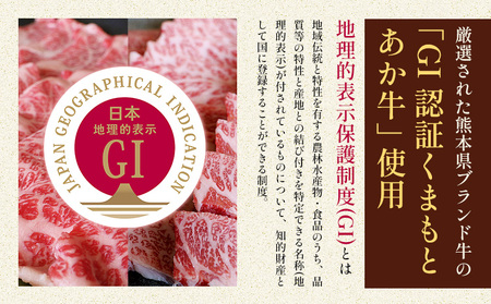 厳選 GI認証 くまもと あか牛 特選 焼肉 500g 桜屋《30日以内に出荷予定(土日祝除く)》 熊本県 産山村 肉 焼肉 GI認証 送料無料