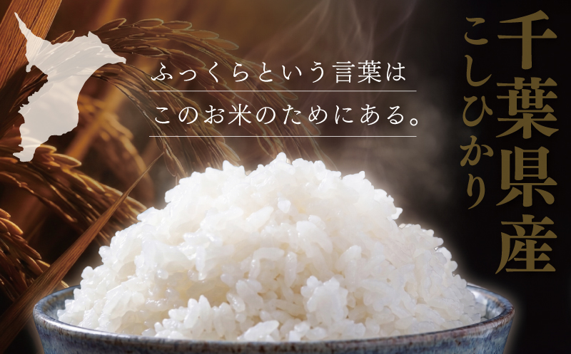 【コシヒカリ 5kg】 【2026年9月以降発送】 米 お米 こしひかり 【令和8年度産】 新米 こめ コメ おこめ okome kome 国産 精米 白米 肉 にあう 魚 にあう おむすび おにぎり