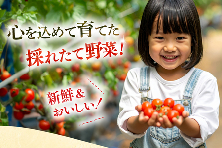 野菜 果物 セット 安心の地元野菜と果物のお任せセット 定期便 12回