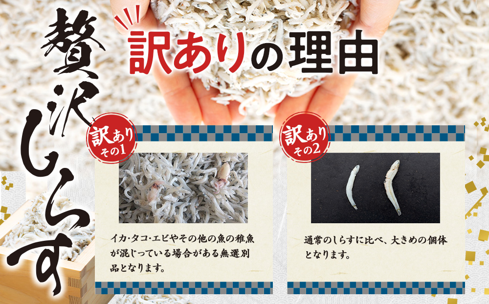 しらす 1kg 訳あり 冷凍 しらす干し 減塩 ごはん 丼 パスタ チャーハン サラダ 魚 料理 山庄 愛知県 南知多町 師崎