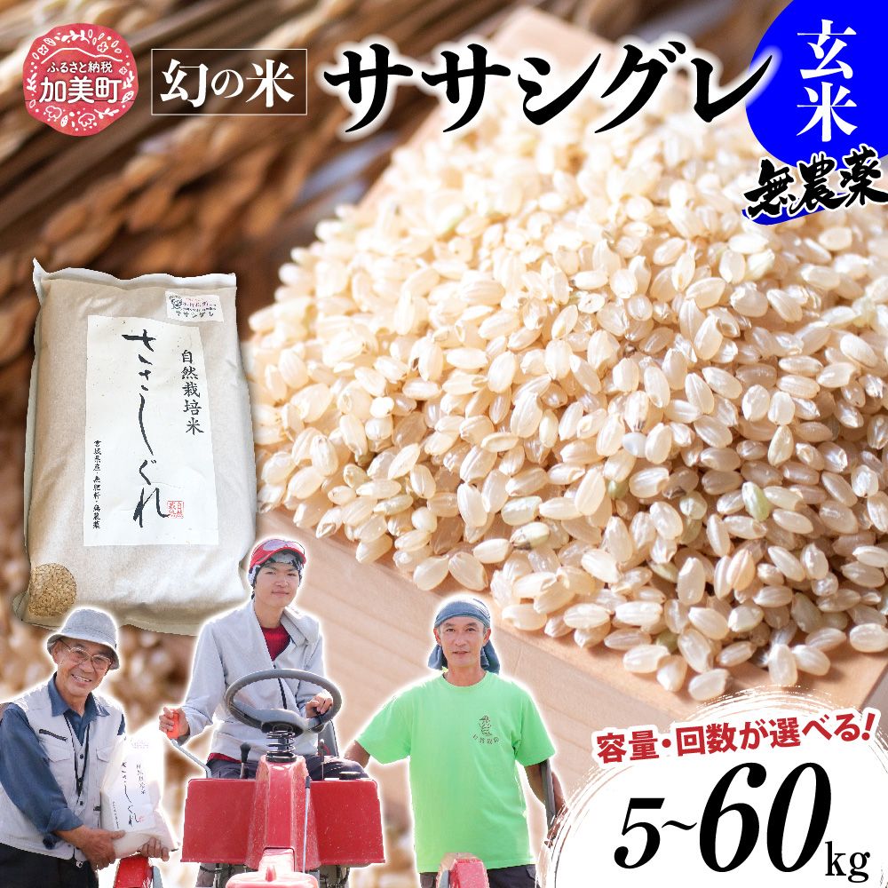 【ふるさと納税】新米 米 定期便 玄米 希少 品種 令和7年 宮城県産 ササシグレ 栽培期間中農薬 肥料 不使用 無農薬 玄米 5kg 10kg 単品 3ヶ月 6ヶ月 定期便 も 選べる [ 宮城県 加美町 ] お米 こめ コメ 精米 白米 玄米 ササシグレ