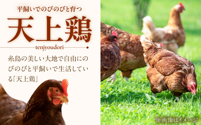 こだわりの卵「天上卵」20個セット 糸島ファームハウスUOVO/鶏卵/平飼い/たまご/玉子 [AKH001]