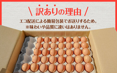 産直枇杷たまご 5kg / 卵 たまご 鶏卵 国産 玉子 枇杷 / 諫早市 / 長崎県養鶏農業協同組合[AHCX003]