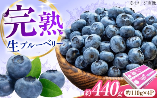 ブルーベリー 生ブルーベリー110ｇ×4パック【7月上旬から9月下旬まで順次発送】 / 冷蔵 フルーツ 果物 ブルーベリー 生 ジャム スムージー ドリンク 手摘み 完熟 ブルーム 鮮度 甘酸っぱい 弾ける アントシアニン 国産 旬 摘みたて 旬のフルーツ 旬の果物 産直 お取り寄せ お土産 旬 産地 プレゼント ギフト 人気 おすすめ / 愛媛県砥部町/西岡さん家のみかん園 [BJBG003]