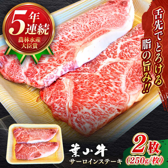 【ふるさと納税】【幻の和牛】国産 和牛 A5ランク 牛肉 葉山牛 サーロインステーキ 計500g ( 250g × 2枚 ) ／ A5 黒毛和牛 500グラム サーロイン ステーキ 冷凍 人気 おすすめ 赤身【葉山牛ステーキレストラン 角車】[ASBD008]