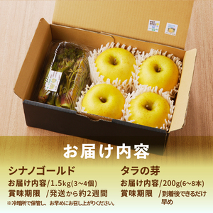 りんごと栽培タラの芽 [BK009]