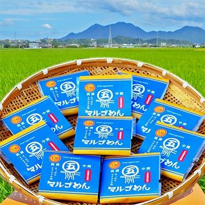 ふるさと納税 中間市 【発送月固定定期便】マルゴめん中間産米麺(プレーン)10食(中間市)全4回 |  | 03