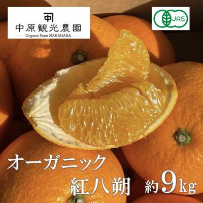 ふるさと納税 大崎上島町 【2027年1月下旬より順次発送】中原観光農園　大崎上島産オーガニック紅八朔　約9kg有機JAS認証