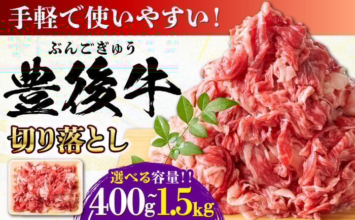 
            【選べる容量】 おおいた豊後牛 牛肉 切り落とし 400g~1.5kg 日田市 / 株式会社MEAT PLUS 牛肉 おおいた豊後牛 おおいた 豊後牛 黒毛和牛 赤身 薄切り 切り落とし 和牛 [AREI001-005]
          