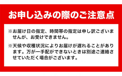 【令和7年度先行予約】岡山県産 白桃 (早生種) 約900g  晴れの国 おかやま館(漂流岡山)《2025年7月上旬-8月中旬頃出荷》【配送不可地域あり】---124_c861_7j8c_24_170