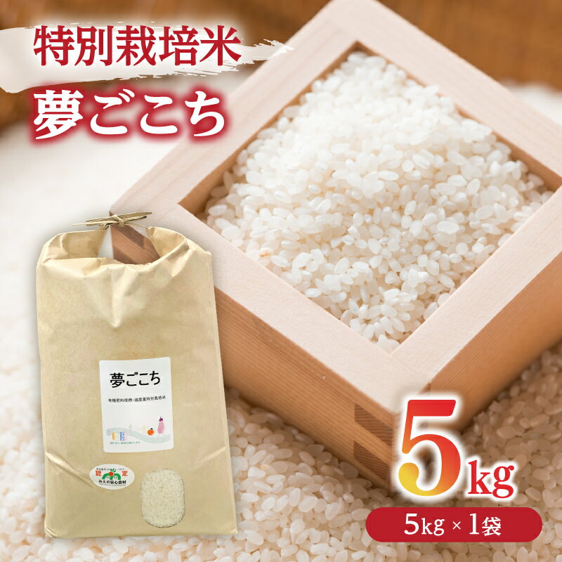 【ふるさと納税】夢ごこち＜特別栽培米＞精米 5kg（減農薬 有機肥料 お米 米 おこめ こめ 白米 ゆめごこち）【田園】