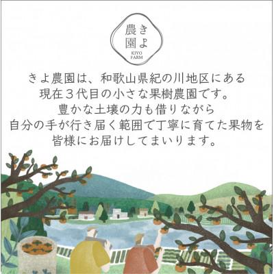 ふるさと納税 高野町 先行受付　柿(種無し)　赤秀品大玉　6個入　約1.8kg |  | 03