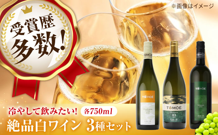 
            ～ソムリエが選ぶ～冷やして飲みたい絶品白ワイン3本セット ワイン 受賞 飲み比べ ワインセット ギフト 三次市/広島三次ワイナリー[APAZ032] 
          