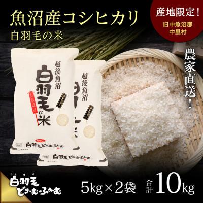 ふるさと納税 十日町市 令和7年産　農家直送!魚沼産こしひかり「白羽毛の米」精米5kg×2袋