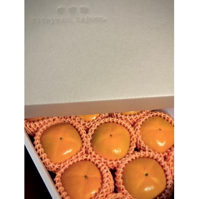 ふるさと納税 橋本市 【先行受付】キタヤマ果樹園のたねなし柿　9〜12個(2L〜3L)オリジナル化粧箱入り(シルバー箱) |  | 01