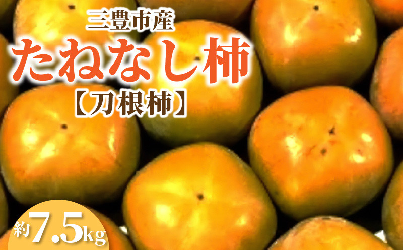 
M02-0097_【先行予約】三豊市産たねなし柿（刀根柿）約7.5kg
