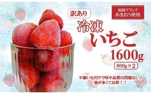 福岡ブランドあまおう【訳あり】冷凍いちご 1600g(800g×2)