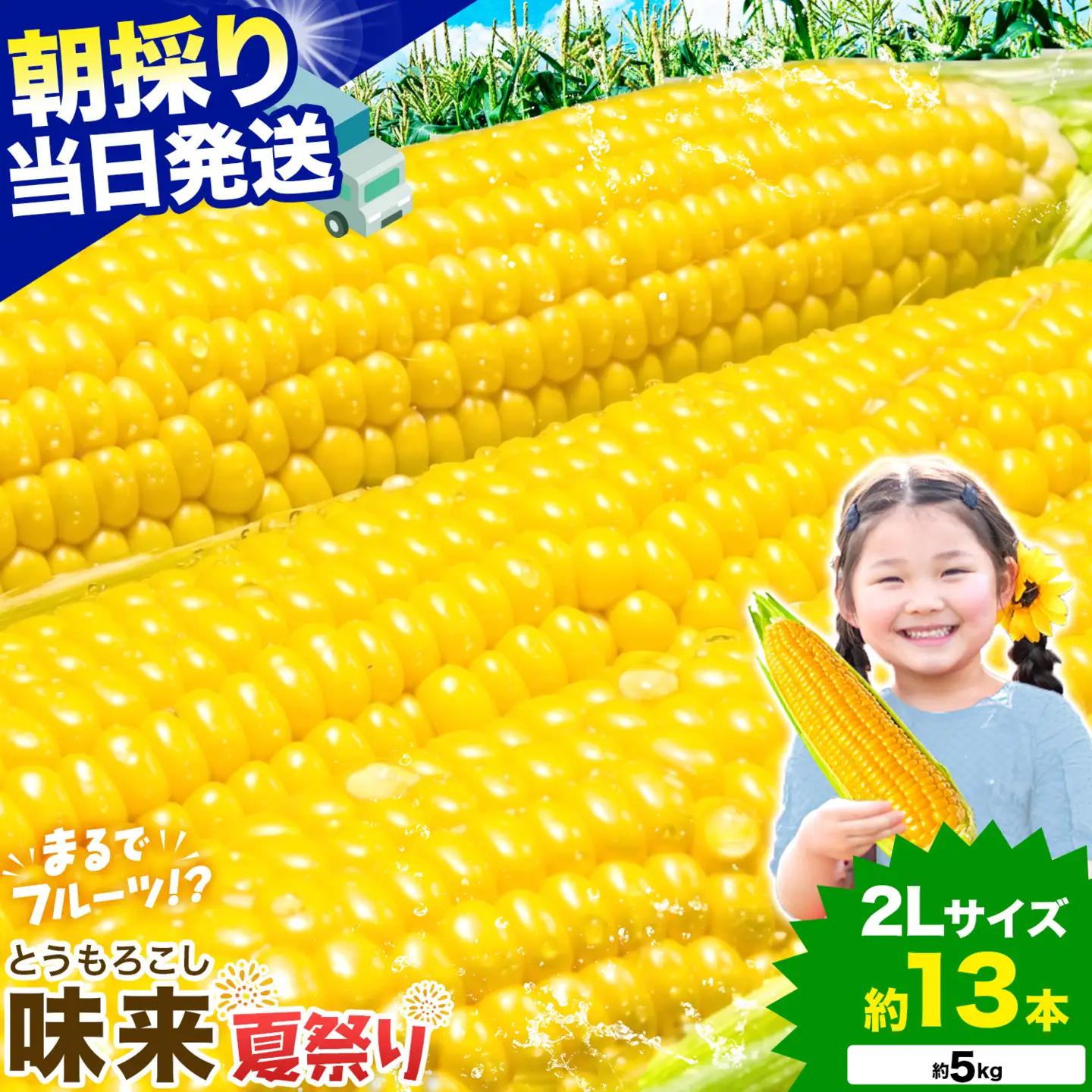 とうもろこし味来  約5kg 野菜 トウモロコシ