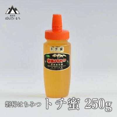 ふるさと納税 磐梯町 磐梯はちみつ　トチ蜜　250g