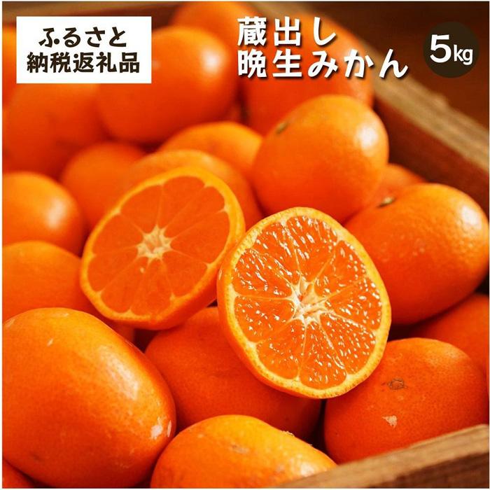 【ふるさと納税】蔵出しみかん晩生　5kg家庭用｜和歌山県海南市下津町の特産品蔵出しみかんの晩生品種【2026年1月発送開始】 | ふるさと納税 楽天 蔵出し お礼の品 特産品 果物 フルーツ ミカン 蜜柑 柑橘類 みかん 特産品 甘い