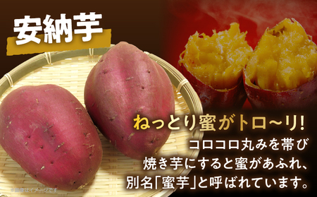 冷やし焼き芋(安納芋・紅はるか) 合計2kg さつまいも イモ 野菜 国産_T016-005