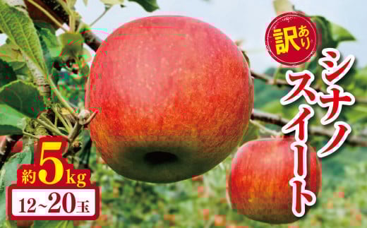 訳あり シナノスイート 約5kg 【2026年先行予約】 ｜ やまし平林農園 リンゴ りんご 林檎 果物 フルーツ 果実 果汁 シナノスイート しなのすいーと 家庭用 わけあり 訳アリ 長野県 松川村 信州