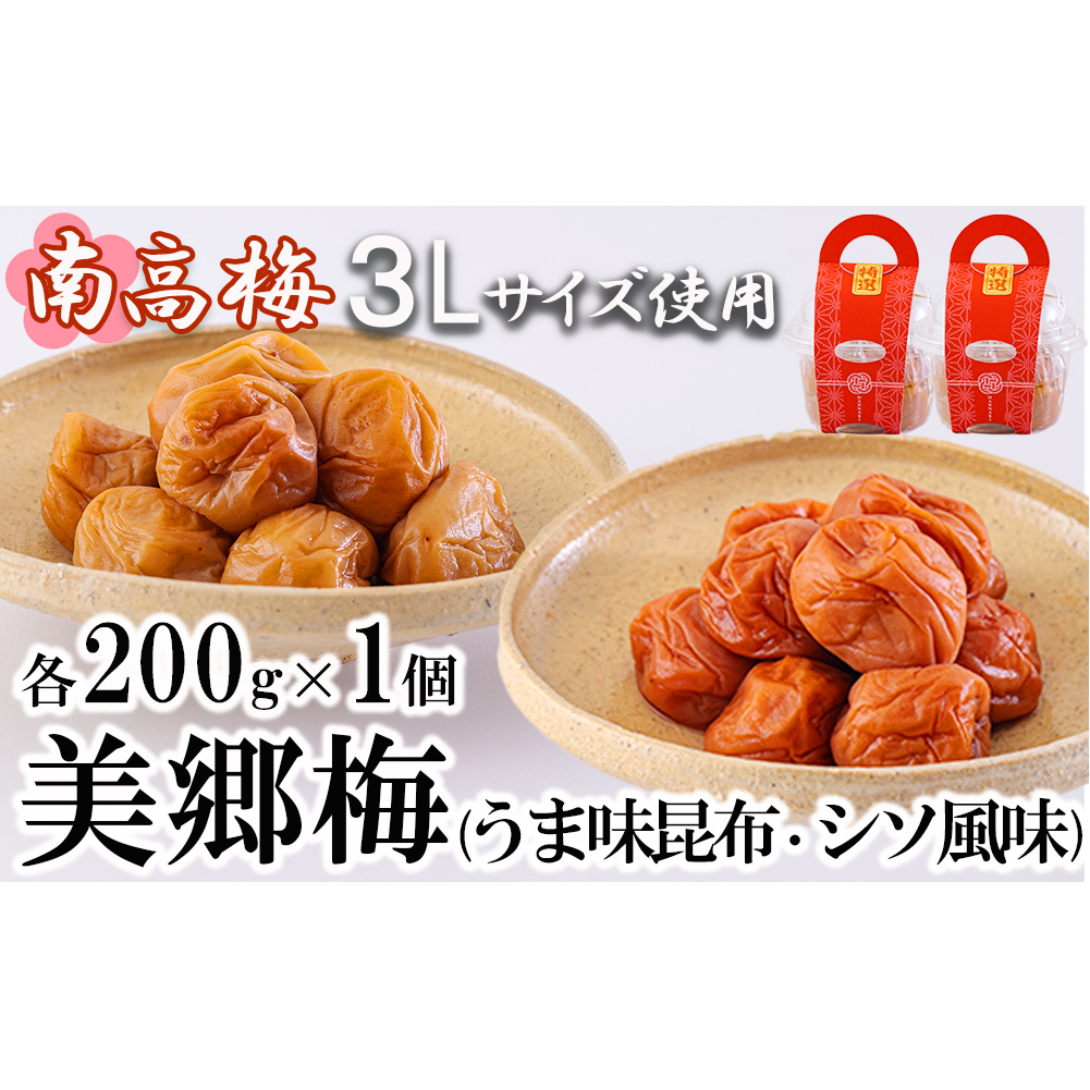 梅 南高梅 美郷梅使用 梅干し 昆布 シソ 風味 セット 3L サイズ 200g ×2 [農林産物直売所 美郷ノ蔵 宮崎県 美郷町 31ab0111] うめ ウメ 個包装 詰め合わせ