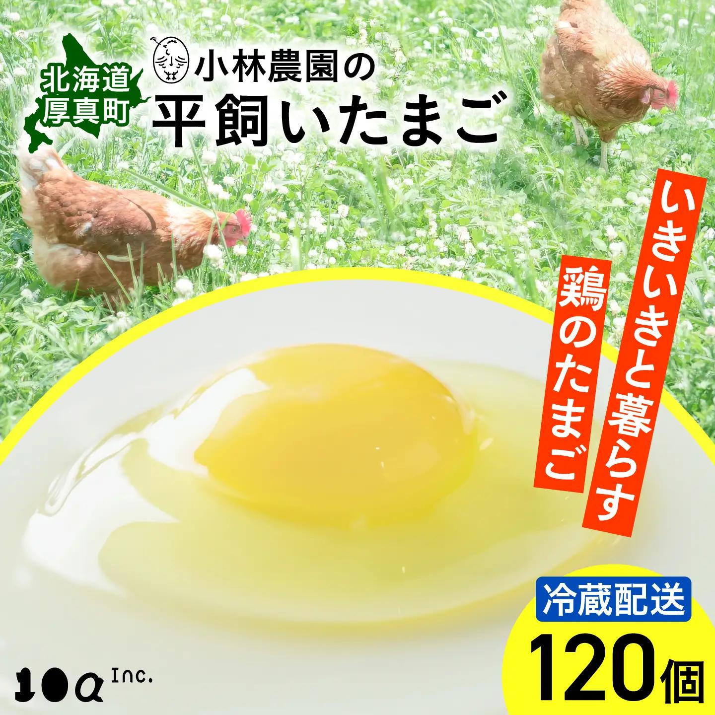 平飼い有精卵 120個 冷蔵便 北海道 [AXAN076]