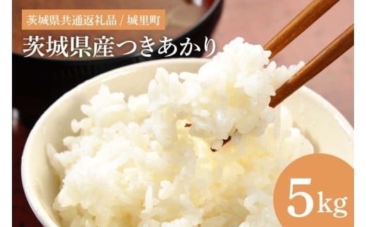 
                  令和7年産 茨城県産つきあかり（茨城県共通返礼品/城里町）5kg 数量限定 お米 こめ コメ ごはん 精米 単一米 安心 安全 白米 おにぎり 生産者直送 高評価 おいしい 桂農産 茨城県産 水戸市（IH-1164）
                