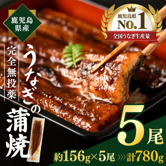 【ふるさと納税】鹿児島県産うなぎ蒲焼 (計約780g / 約156g×5尾) 鰻 ウナギ うなぎ うな重 鹿児島県産 冷凍 【株式会社薩摩川内鰻】