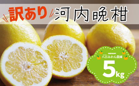 【先行予約】訳あり 河内晩柑 5kg  (発送期間：2027年4月上旬～無くなり次第終了) 八百みかん農園 愛媛県 愛南町