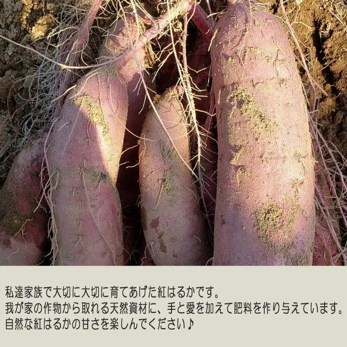 【訳あり】紅はるか20kg No.408