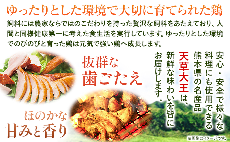 【幻の地鶏】天草大王半身燻製 1本入(約650g以上) 大海水産株式会社《45日以内に出荷予定(土日祝除く)》地鶏 鶏肉---sms_cadhk_45d_23_13000_650g---