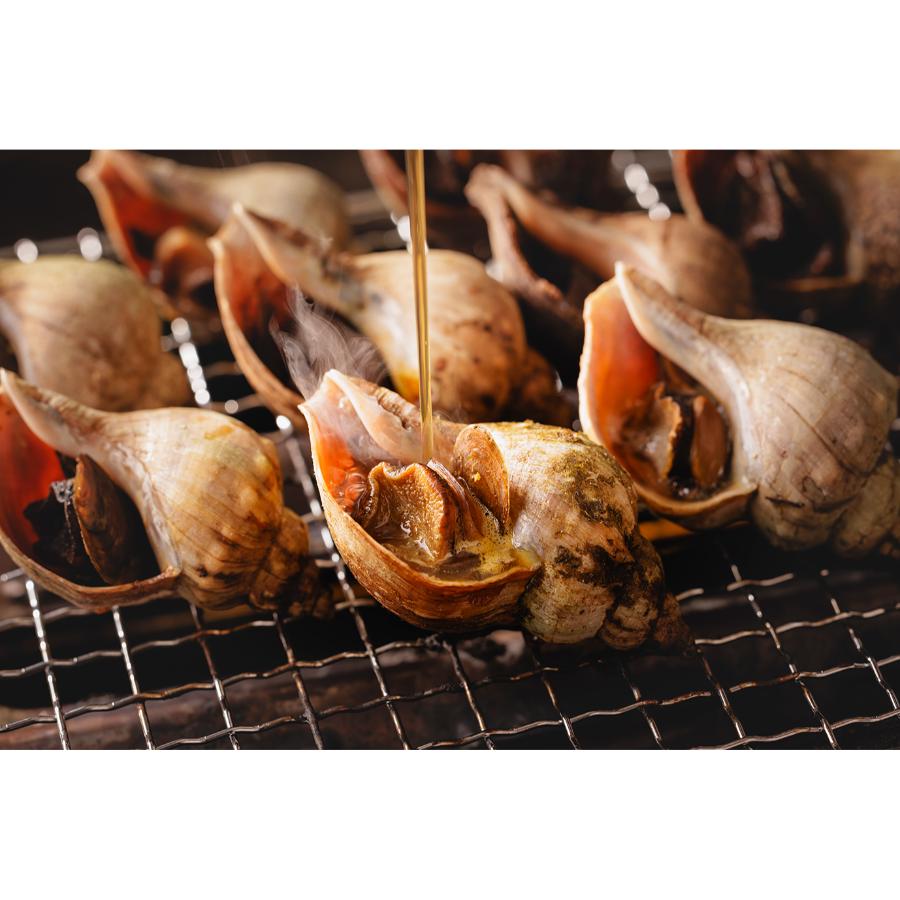 ＜ひがし北海道・釧路つぶ貝本舗＞おうち食べるつぶ焼き5粒入×2箱(タレ付き)