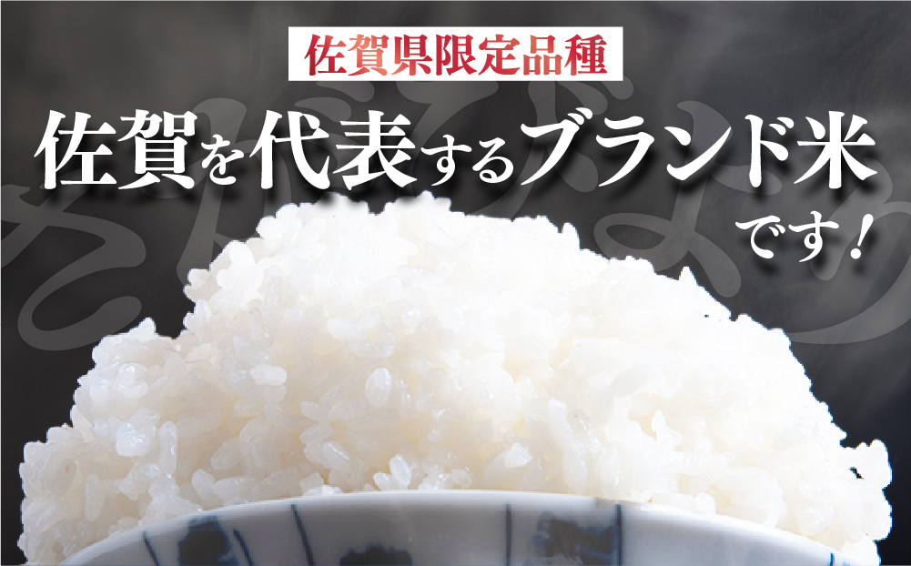 先行予約 [令和7年産] ＜定期便12回＞ 特A評価 さがびより 無洗米 6kg×12回 真空パック 15ob-0020-202506