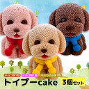 【ふるさと納税】 ケーキ トイプードル Cake 3個 セット スイーツ 立体ケーキ チョコ いちご キャラメル かわいい 贈答用